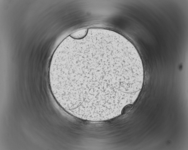 X0000115601483200912221136