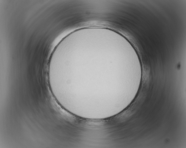 X0000115601486200912221136