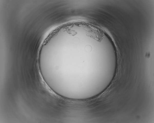 X0000115601488200912221136