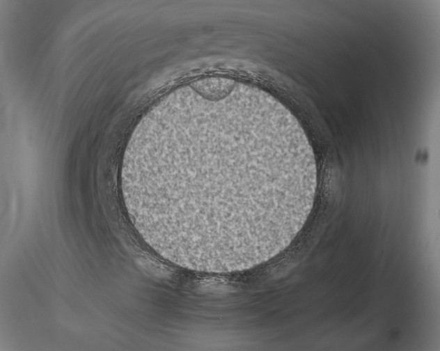 X0000115601489200912221135