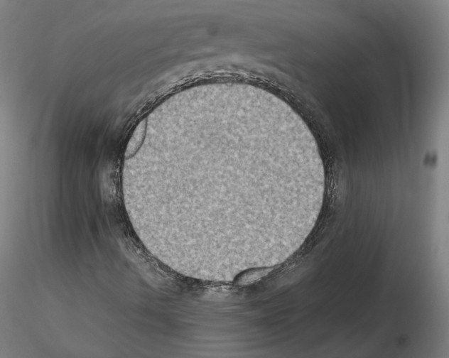 X0000115601490200912221135