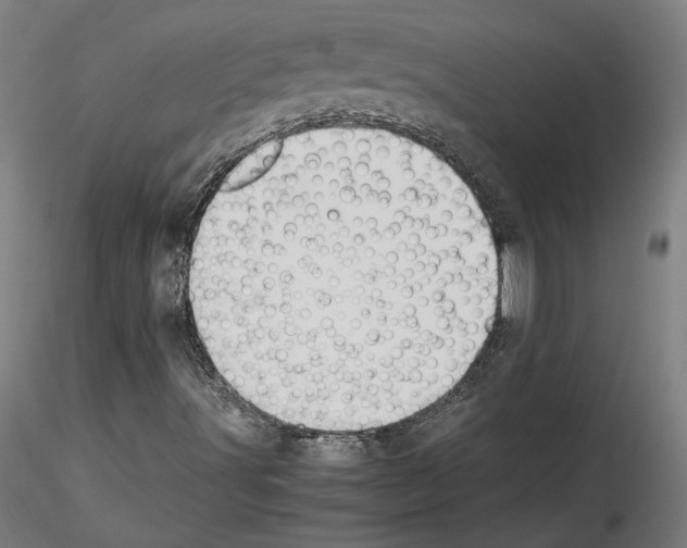 X0000115601491200912221135