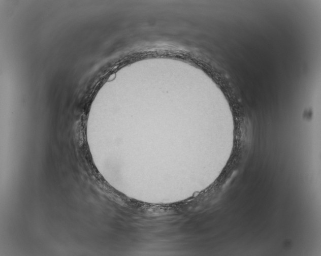 X0000115601493200912221135