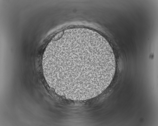 X0000115601494200912221135