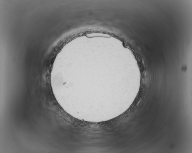 X0000115601495200912221135