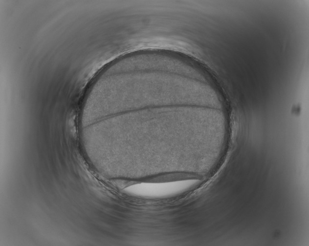 X0000115601497200912221135