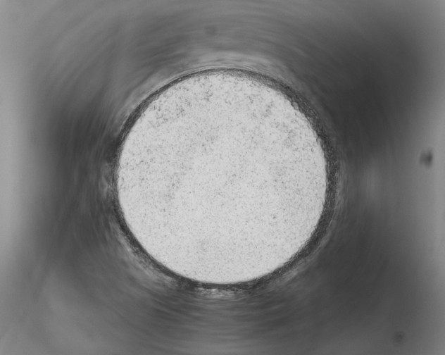 X0000115601505200912221135