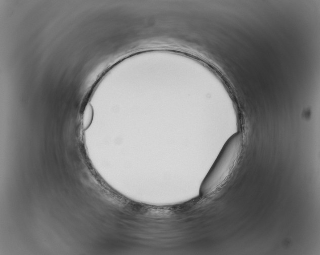 X0000115601509200912221135