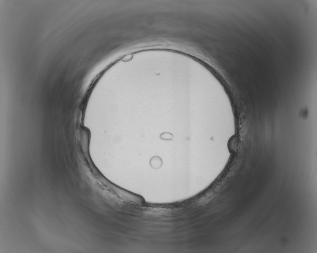 X0000115601510200912221135