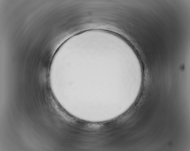 X0000115601513200912221135