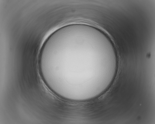 X0000115601514200912221135