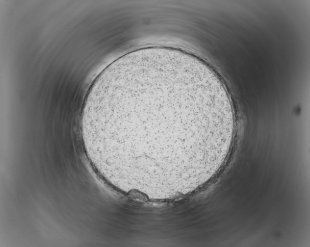 X0000115601521200912221135