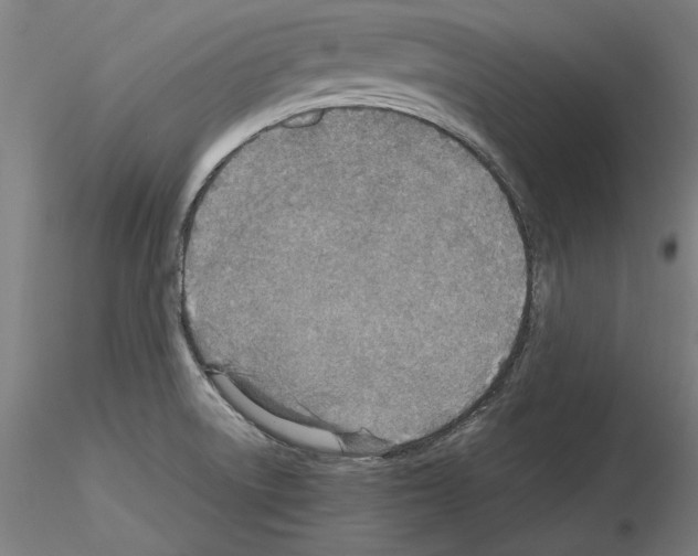 X0000115601522200912221135