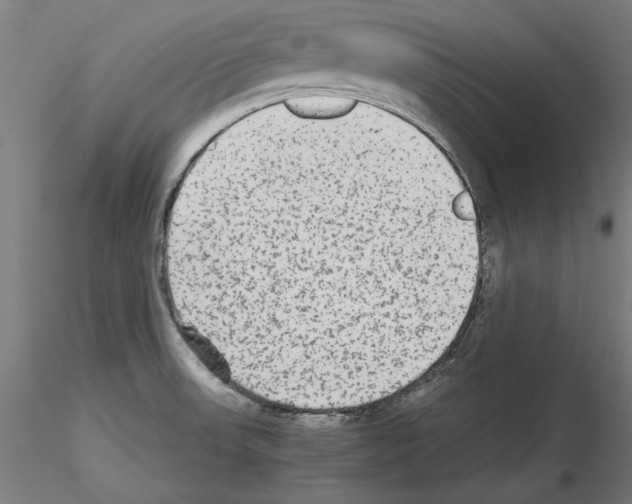 X0000115601523200912221135