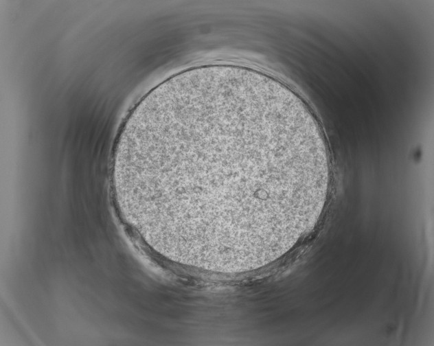 X0000115601525200912221135