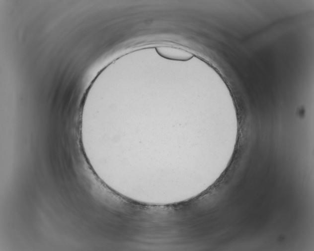 X0000115601526200912221135