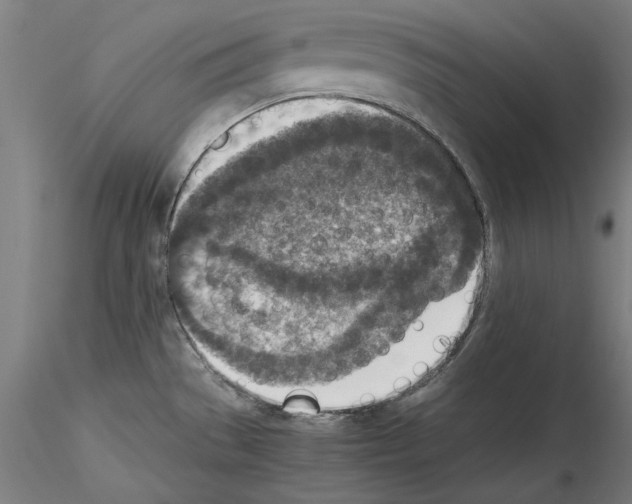 X0000115601529200912221135