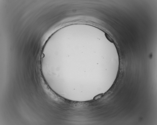 X0000115601530200912221135