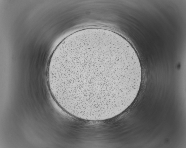 X0000115601531200912221135