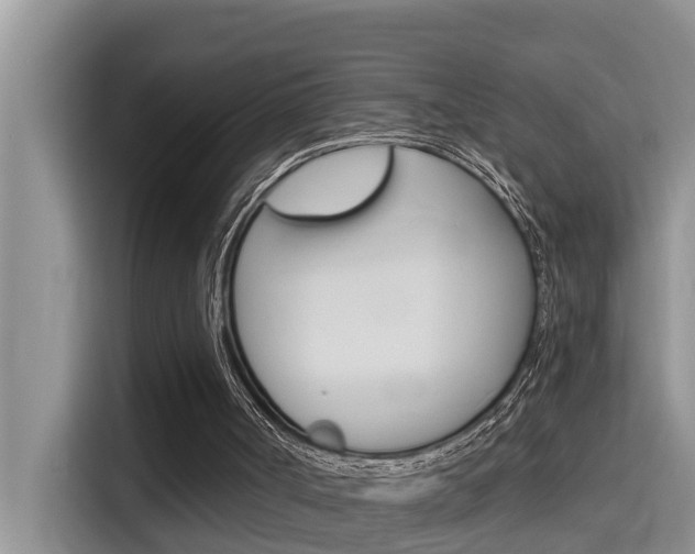 X0000115610002200911100941
