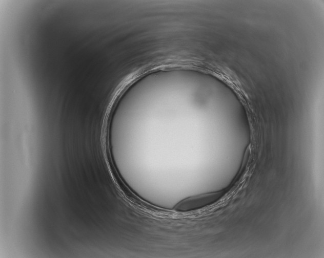 X0000115610003200911100941