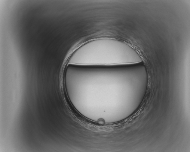 X0000115610004200911100941