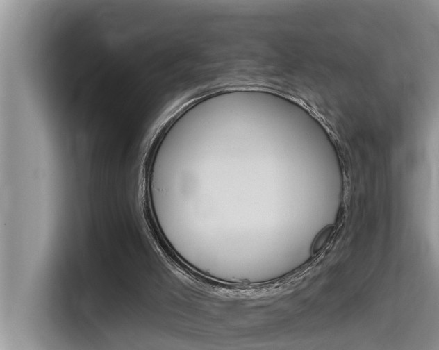 X0000115610005200911100941