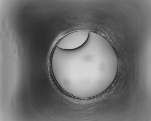 X0000115610006200911100941