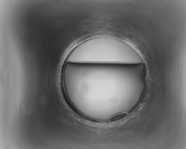 X0000115610007200911100941