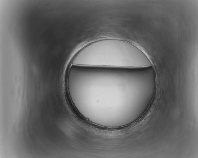 X0000115610008200911100941