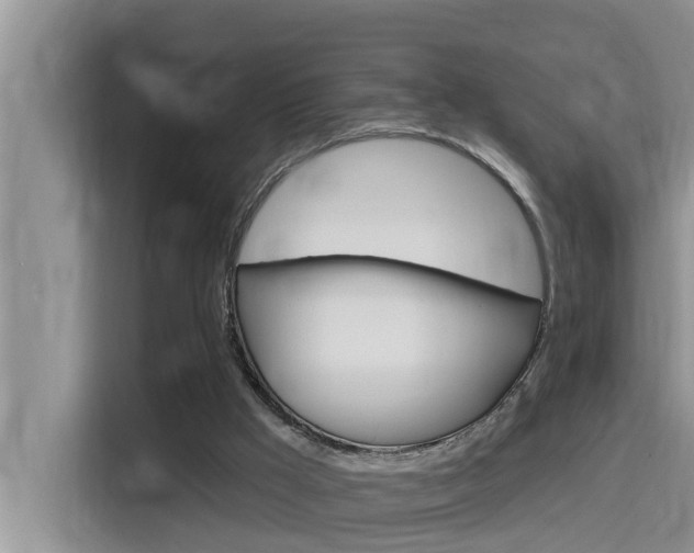 X0000115610009200911100941