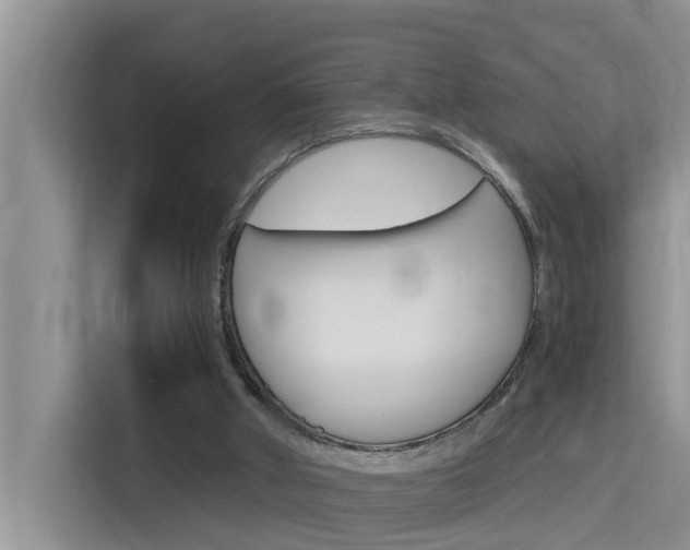 X0000115610010200911100941