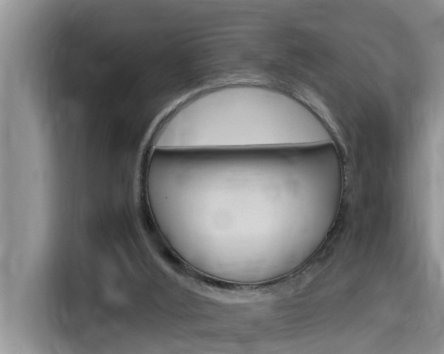 X0000115610012200911100941