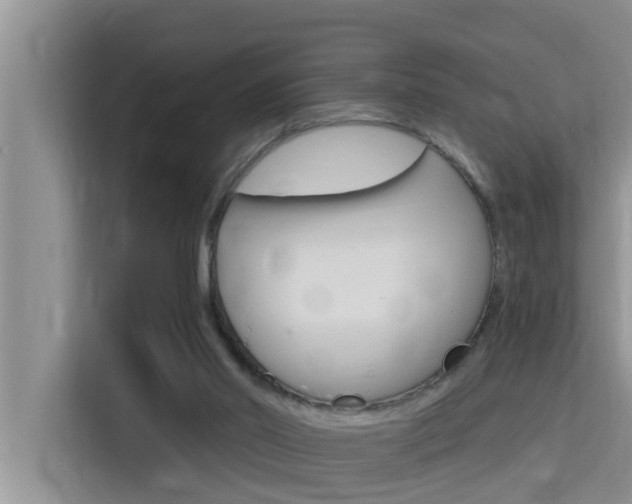 X0000115610014200911100941