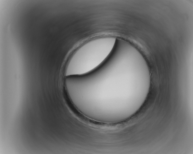 X0000115610016200911100941