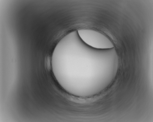 X0000115610022200911100941