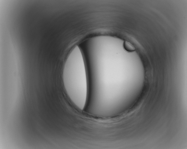 X0000115610024200911100941