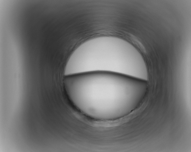 X0000115610025200911100940