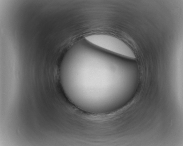 X0000115610029200911100940