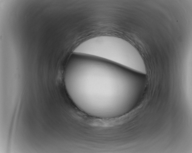 X0000115610033200911100940
