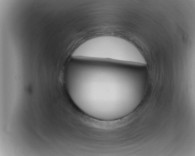 X0000115610035200911100940