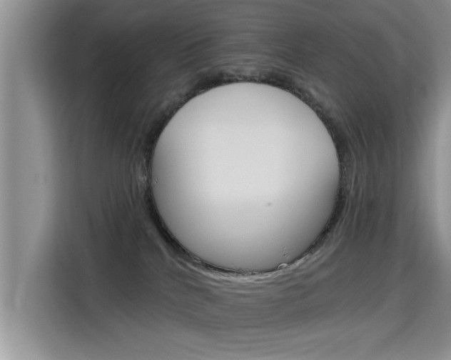 X0000115610040200911100940