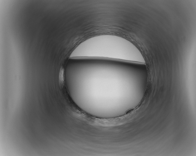 X0000115610041200911100940