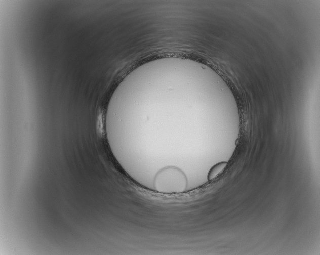 X0000115610042200911100940