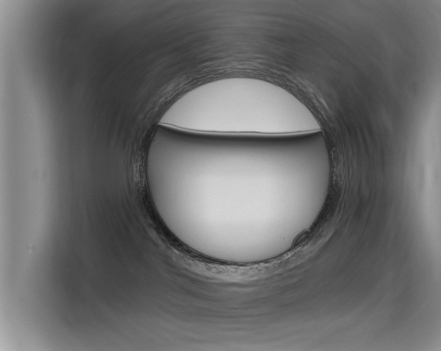 X0000115610044200911100940