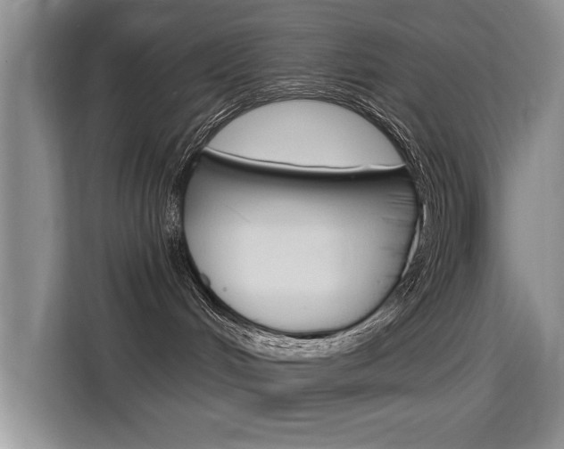 X0000115610048200911100940