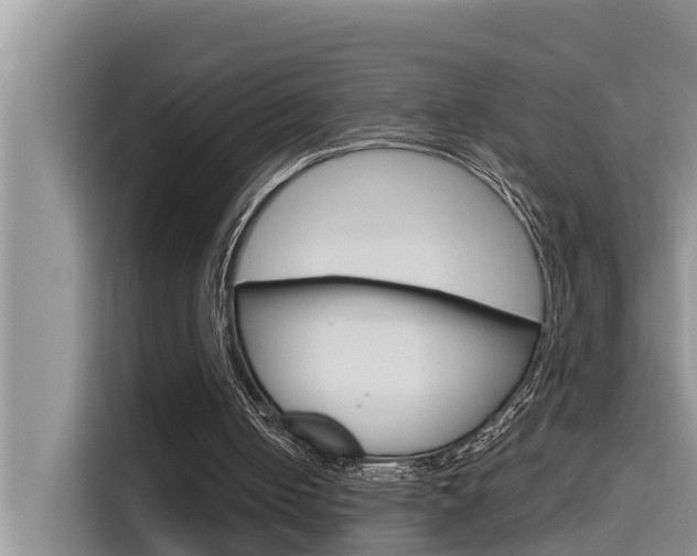 X0000115610050200911100940