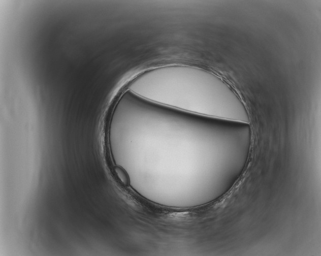 X0000115610054200911100940
