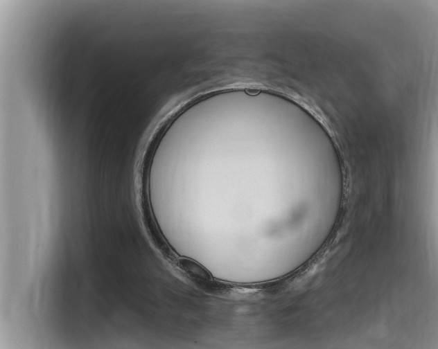 X0000115610055200911100940