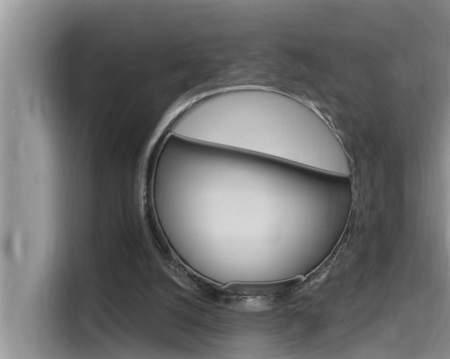 X0000115610056200911100940